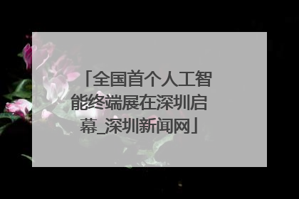 全国首个人工智能终端展在深圳启幕_深圳新闻网