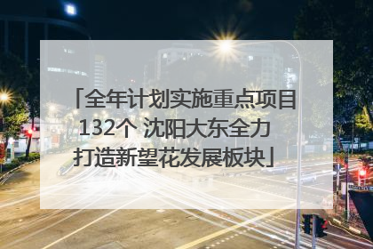 全年计划实施重点项目132个 沈阳大东全力打造新望花发展板块