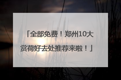 全部免费！郑州10大赏荷好去处推荐来啦！