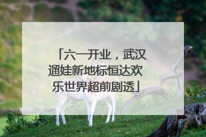 六一开业，武汉遛娃新地标恒达欢乐世界超前剧透