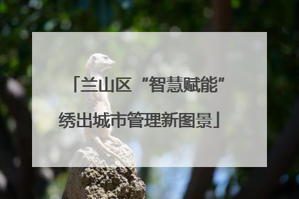 兰山区“智慧赋能”绣出城市管理新图景