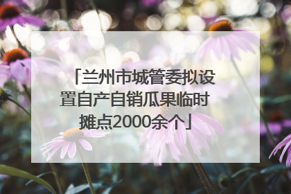 兰州市城管委拟设置自产自销瓜果临时摊点2000余个