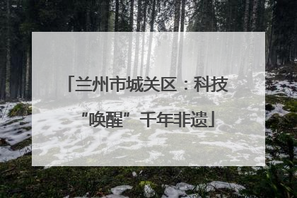 兰州市城关区：科技“唤醒”千年非遗