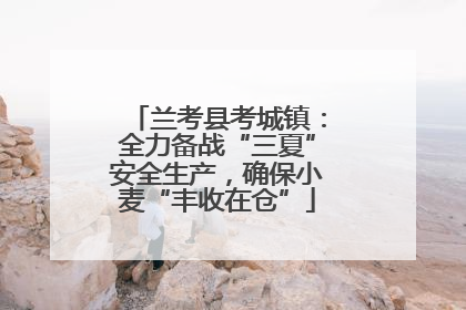 兰考县考城镇：全力备战“三夏”安全生产，确保小麦“丰收在仓”