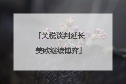 关税谈判延长 美欧继续博弈