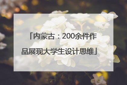 内蒙古：200余件作品展现大学生设计思维