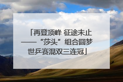 再登顶峰 征途未止——“莎头”组合圆梦世乒赛混双三连冠