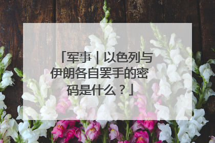 军事｜以色列与伊朗各自罢手的密码是什么？