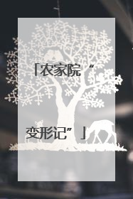 农家院“变形记”