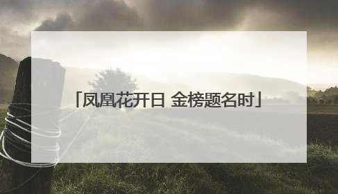 凤凰花开日 金榜题名时