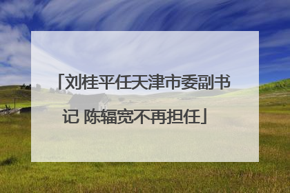 刘桂平任天津市委副书记 陈辐宽不再担任