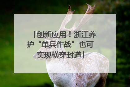 创新应用！浙江养护“单兵作战”也可实现横穿封道