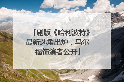 剧版《哈利波特》最新选角出炉，马尔福饰演者公开
