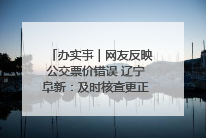 办实事｜网友反映公交票价错误 辽宁阜新：及时核查更正 加强实时巡检