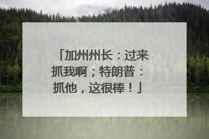 加州州长：过来抓我啊；特朗普：抓他，这很棒！