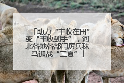 助力“丰收在田”变“丰收到手”，河北各地各部门厉兵秣马迎战“三夏”