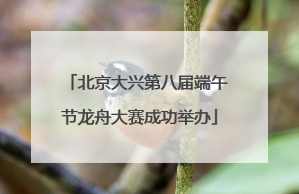 北京大兴第八届端午节龙舟大赛成功举办