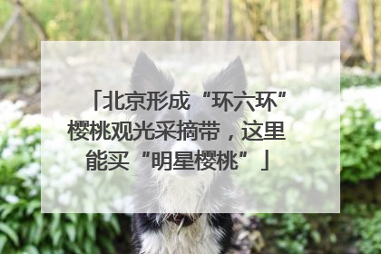 北京形成“环六环”樱桃观光采摘带，这里能买“明星樱桃”