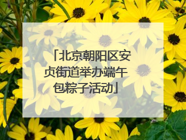 北京朝阳区安贞街道举办端午包粽子活动