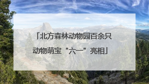 北方森林动物园百余只动物萌宝“六一”亮相