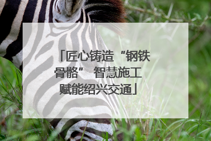 匠心铸造“钢铁骨骼” 智慧施工赋能绍兴交通