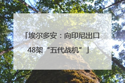 埃尔多安：向印尼出口48架“五代战机”