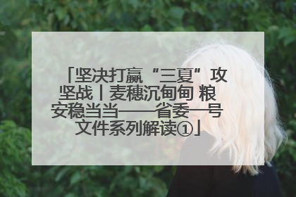 坚决打赢“三夏”攻坚战丨麦穗沉甸甸 粮安稳当当——省委一号文件系列解读①