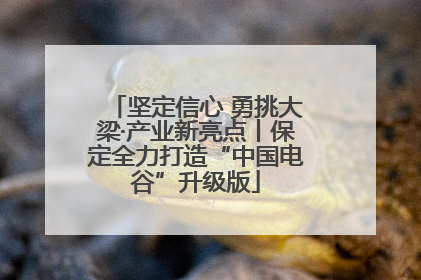 坚定信心 勇挑大梁·产业新亮点丨保定全力打造“中国电谷”升级版