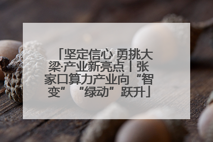 坚定信心 勇挑大梁·产业新亮点丨张家口算力产业向“智变”“绿动”跃升