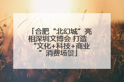 合肥“北幻城”亮相深圳文博会 打造“文化+科技+商业”消费场景