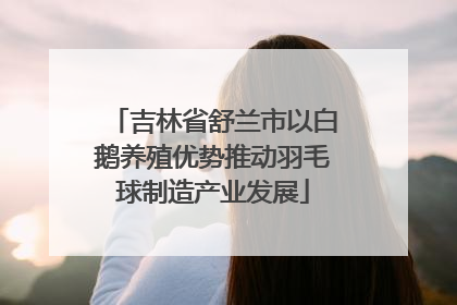 吉林省舒兰市以白鹅养殖优势推动羽毛球制造产业发展