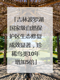 吉林波罗湖国家级自然保护区生态修复成效显著，珍稀鸟类10年增加5倍