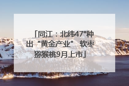 同江：北纬47°种出“黄金产业” 软枣猕猴桃9月上市