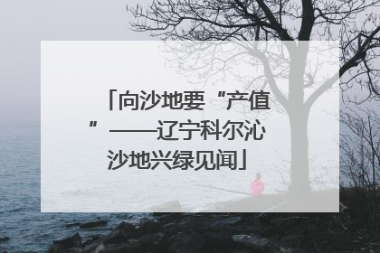 向沙地要“产值”——辽宁科尔沁沙地兴绿见闻