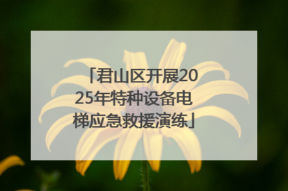 君山区开展2025年特种设备电梯应急救援演练