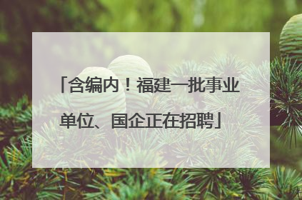 含编内！福建一批事业单位、国企正在招聘