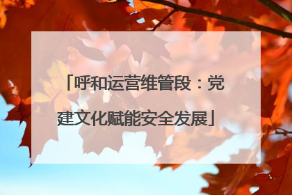 呼和运营维管段：党建文化赋能安全发展