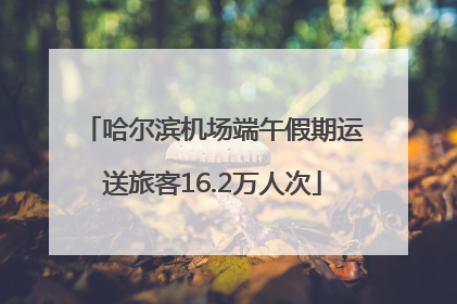 哈尔滨机场端午假期运送旅客16.2万人次