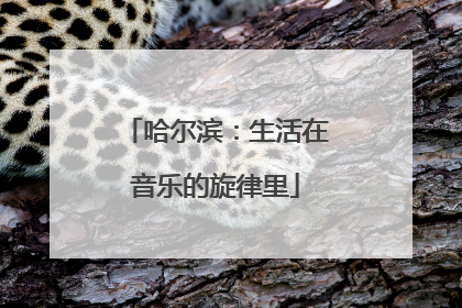 哈尔滨：生活在音乐的旋律里