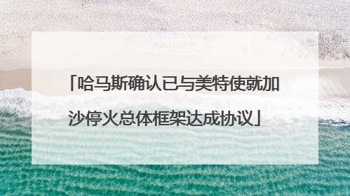 哈马斯确认已与美特使就加沙停火总体框架达成协议