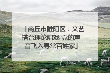 商丘市睢阳区：文艺搭台理论唱戏 党的声音飞入寻常百姓家
