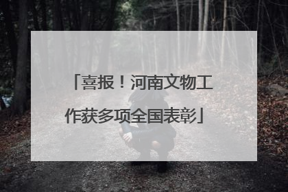 喜报！河南文物工作获多项全国表彰