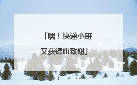 嘿！快递小哥又获锦旗致谢