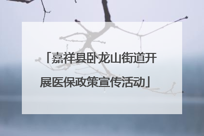 嘉祥县卧龙山街道开展医保政策宣传活动