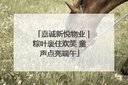 嘉诚新悦物业｜粽叶裹住欢笑 童声点亮端午
