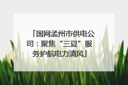 国网孟州市供电公司：聚焦“三夏”服务护航电力清风