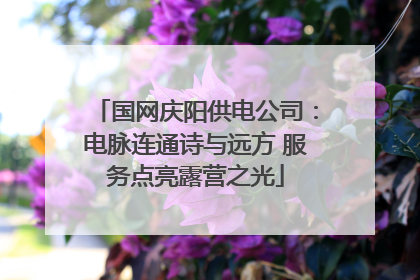 国网庆阳供电公司：电脉连通诗与远方 服务点亮露营之光