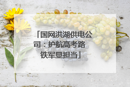 国网洪湖供电公司：护航高考路 铁军显担当