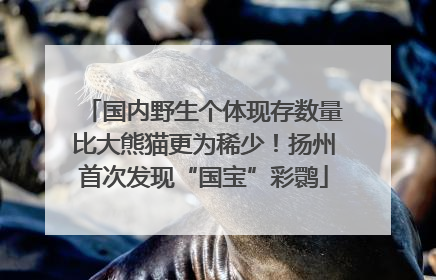 国内野生个体现存数量比大熊猫更为稀少！扬州首次发现“国宝”彩鹮