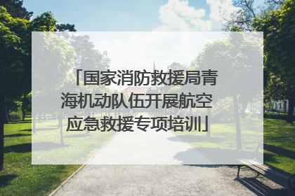 国家消防救援局青海机动队伍开展航空应急救援专项培训
